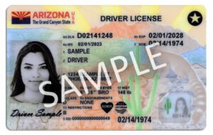 Driver-License-2023