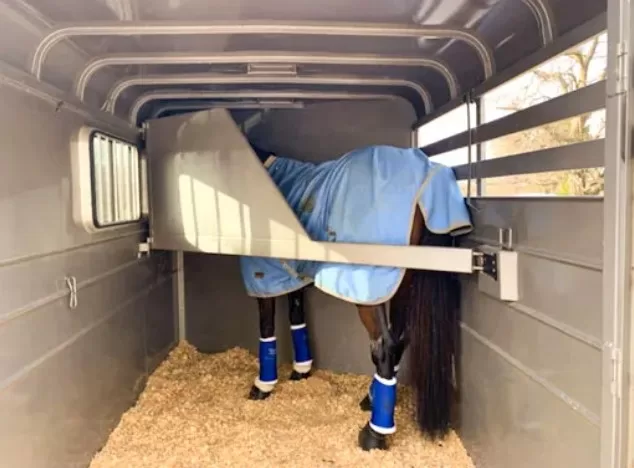 horse inside horse trailer